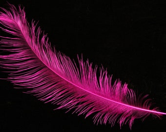 nandou feather, rhea feathers, milliner feathers, fly feather, fly tying, rhea float tube, rhea intruder, nandu federn,