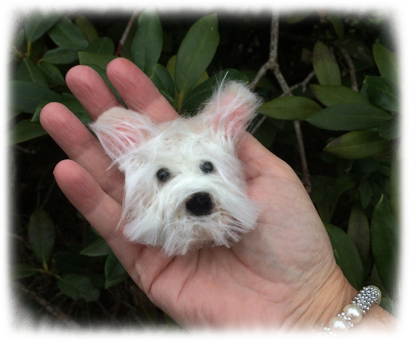 hund frisst nur aus der hand