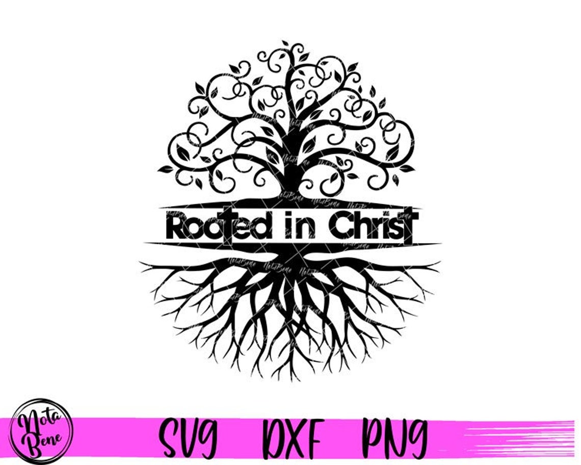 Rooted in Christ SVG Tree Roots Svg Bible Verse Svg - Etsy