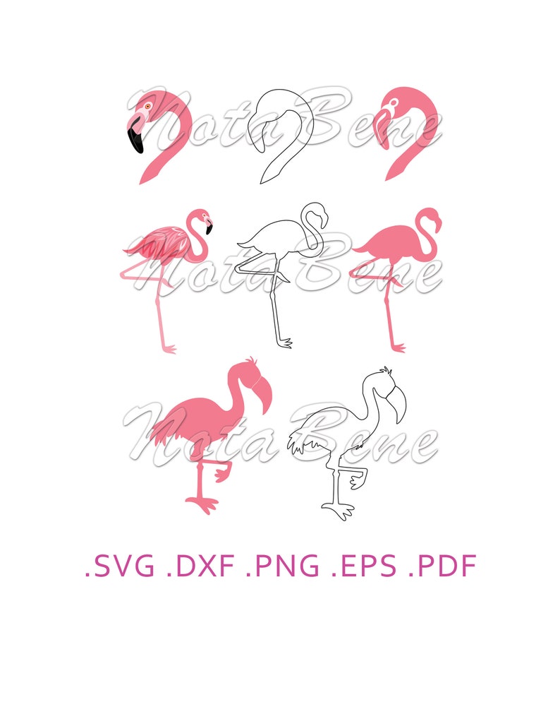 Pink Flamingo SVG T-Shirt Design DXF Funny Cut Files for | Etsy