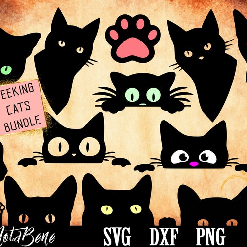 Peeking Black Cat SVG Silhouette Clipart a Boo Cats SVG - Etsy