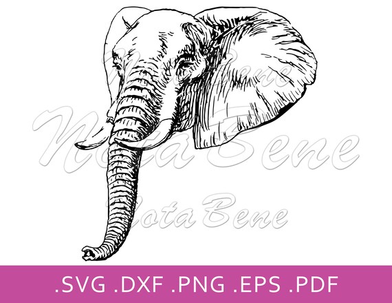 Free Free Elephant Head Svg 779 SVG PNG EPS DXF File