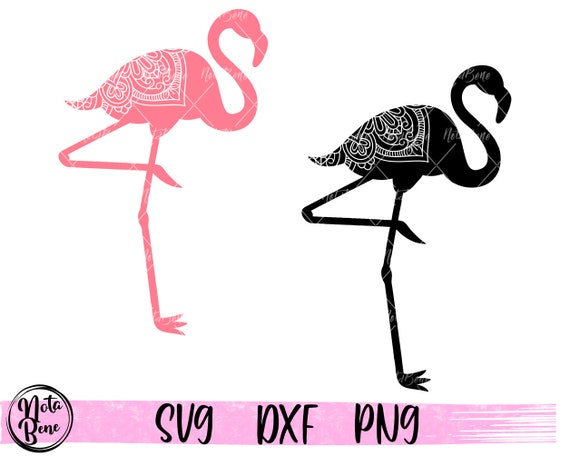 Download Pink Flamingo Mandala Svg Floral Flamingo Svg Cricut Etsy
