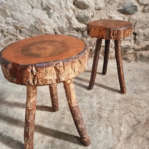 Könnte beinhalten: Zwei Hocker aus natürlichen Holzscheiben mit Rindenkanten und drei stabilen Astbeinen. Jeder Hocker verfügt über eine glatte, kreisförmige Oberseite, die die Holzmaserung zeigt, und eine raue, strukturierte Rindenaußenseite an den Seiten und Beinen.