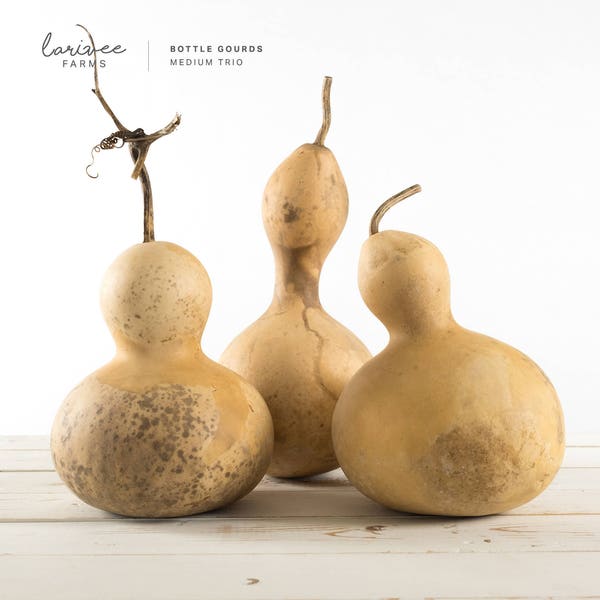 Medium Birdhouse Gourd Trio