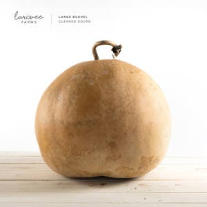 Large Dried Bushel Gourd