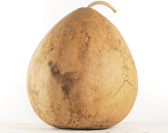 Large Kettle Dried Gourd