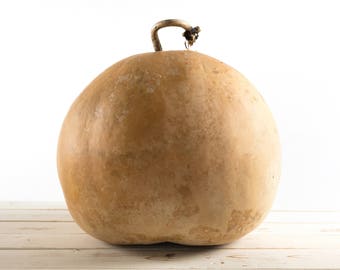 Large Dried Bushel Gourd