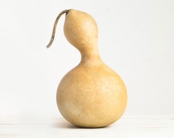 Large Birdhouse Gourd