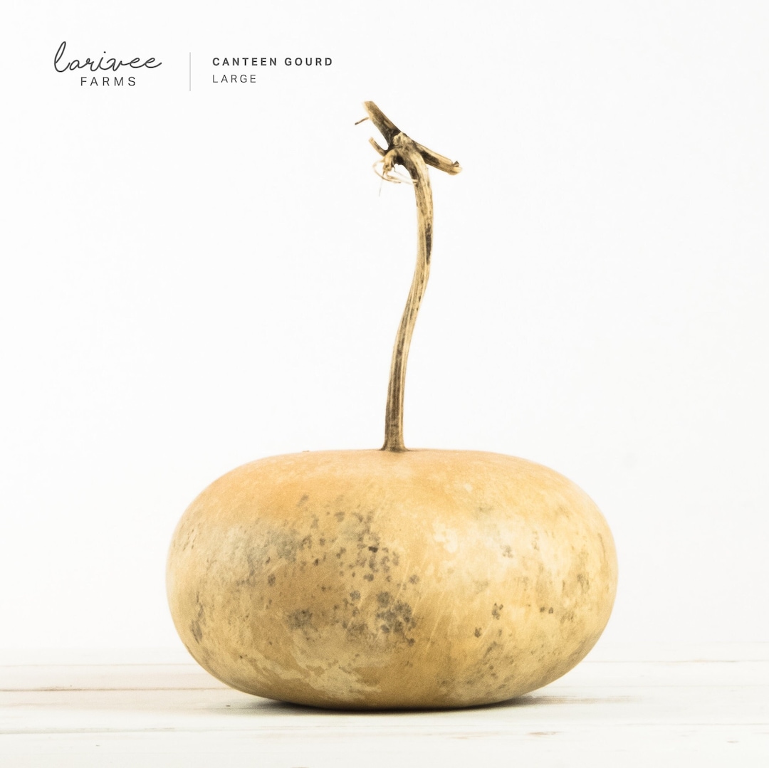 Large Canteen Gourd Etsy