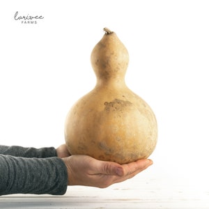 Large Birdhouse Gourd