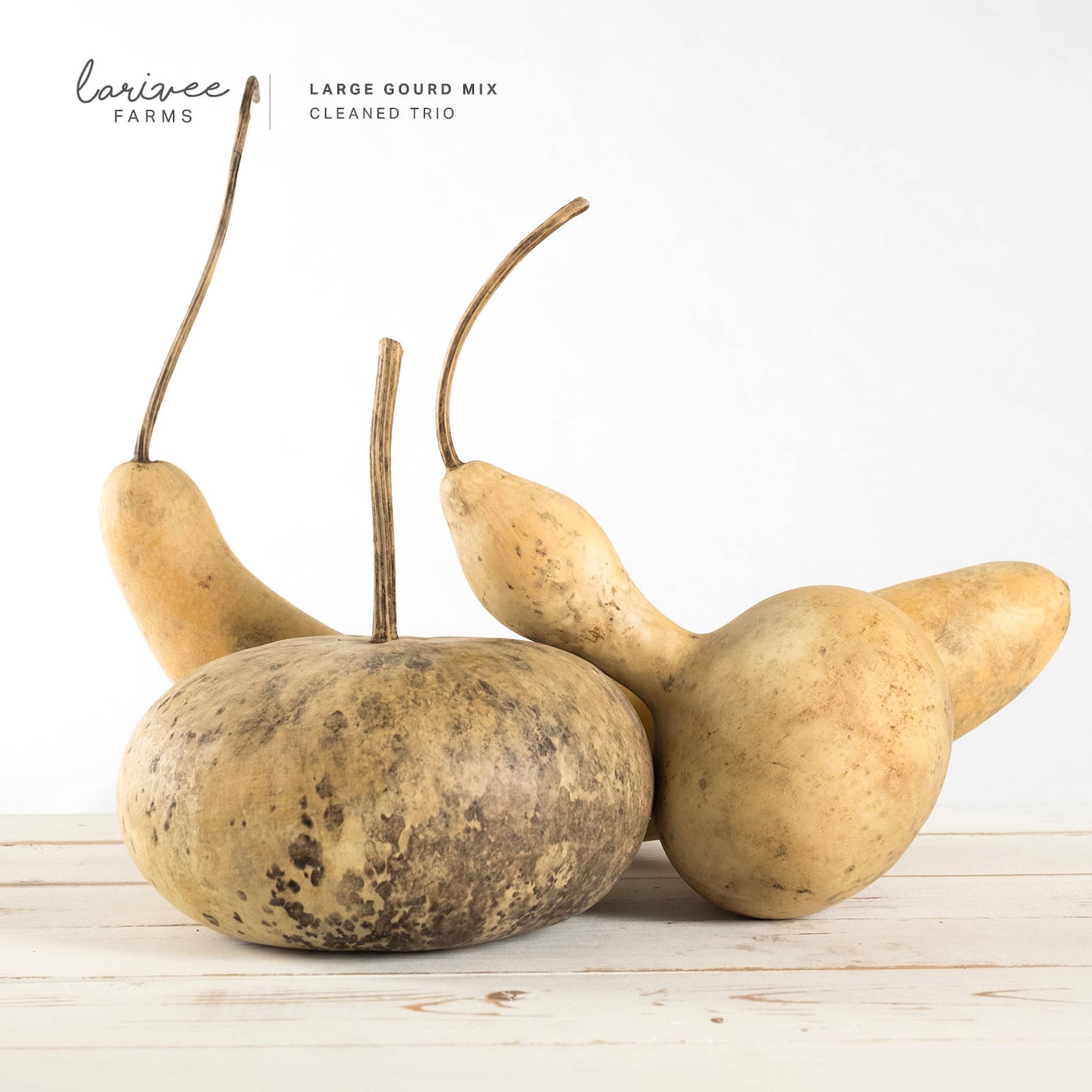 Large Dried Gourd Trio Etsy