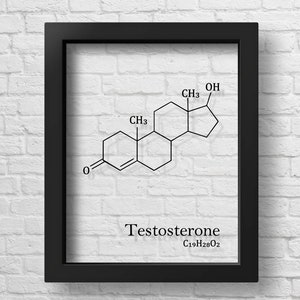 TRANSPARENT Testosterone Molecule Bodybuilder Gift Poster Bodybuilding Wall Art Gym Decor Urologist Gift Fitness Wall Art Minimalist Science