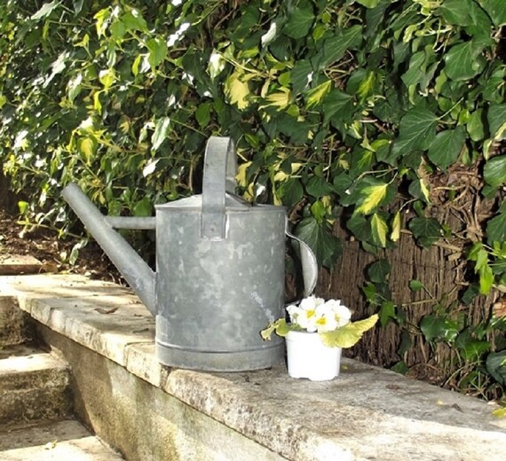 1940s Zinc Watering Can Galvanized Watering Can Old Watering Etsy