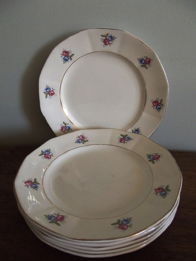 old porcelain plates lot of 6 pink and blue flowers France Antique dessert plates 191020 Digoin Sarreguemines opaque porcelain
