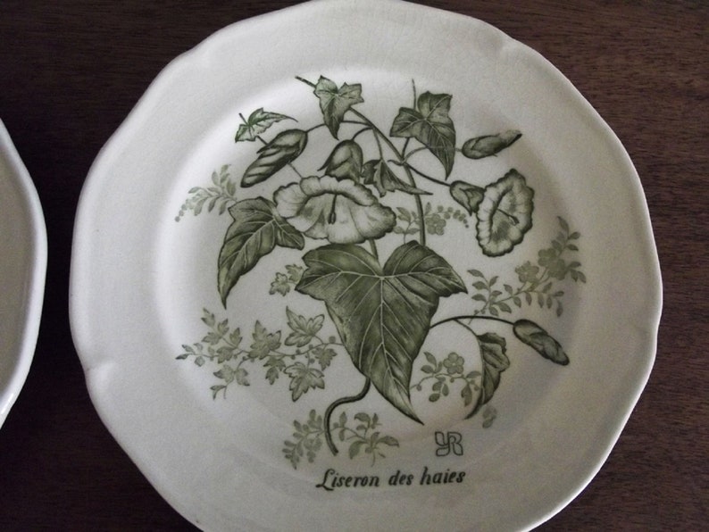 old porcelain plates lot of 6 pink and blue flowers France Antique dessert plates 191020 Digoin Sarreguemines opaque porcelain