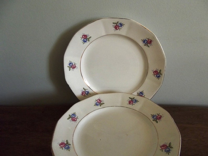 old porcelain plates lot of 6 pink and blue flowers France Antique dessert plates 191020 Digoin Sarreguemines opaque porcelain