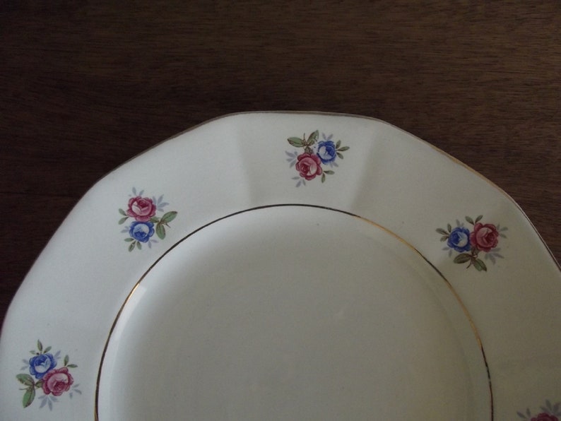old porcelain plates lot of 6 pink and blue flowers France Antique dessert plates 191020 Digoin Sarreguemines opaque porcelain