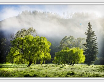 A Bright Morning - Bright Victoria