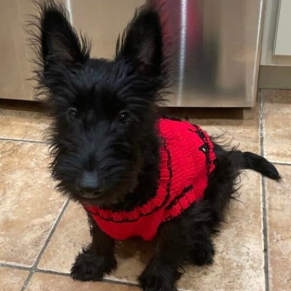 Scottie Dog Sweater Etsy