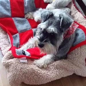 May include: A small grey and white dog with a red bandana is lying on a fluffy beige blanket with a red and grey checkered blanket underneath.