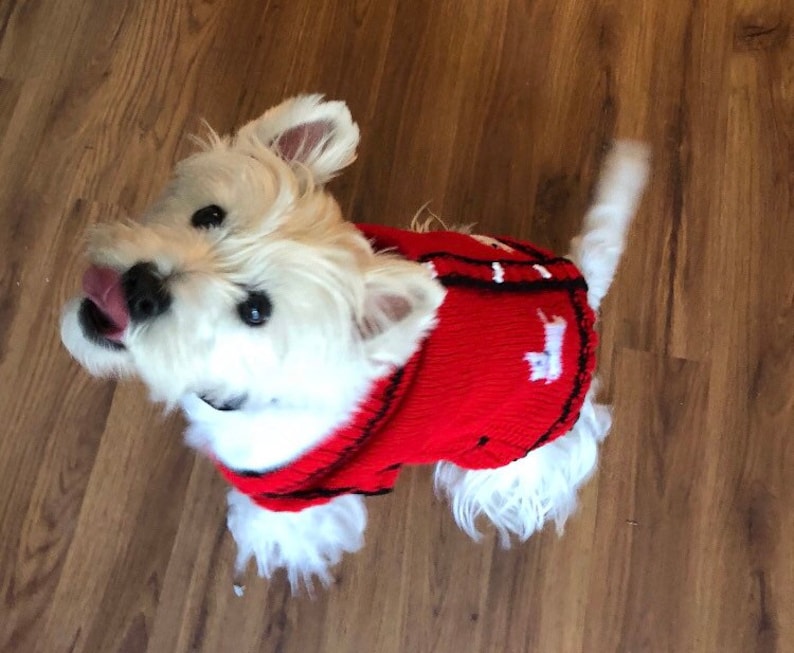 Westie Dog Jumper Knitted Pet Sweater Etsy