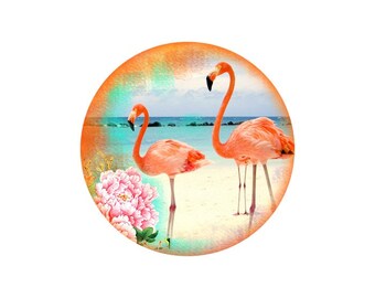 1 Cabochon In Round Flamingo Glass 5