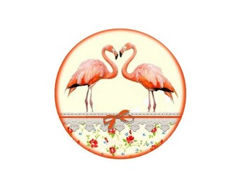 1 Cabochon en Verre Rond Flamant rose 1