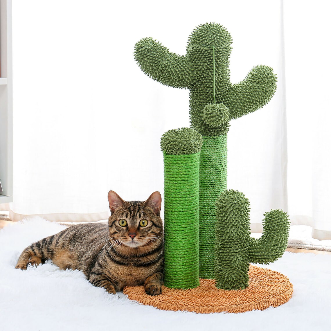 Cactus Cat Scratcher Kmart