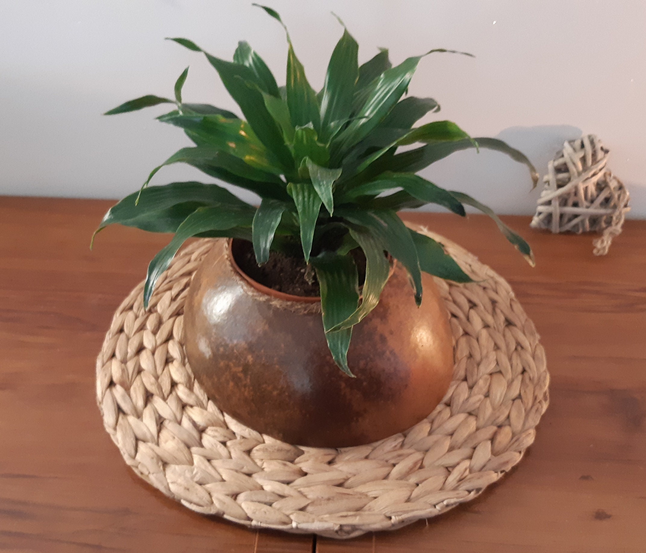 Cache Pot Original Artisanal en Calebasse