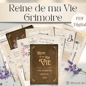 Grimoire Reine de ma Vie Planificateur de projet pour Sorcière en français image 1