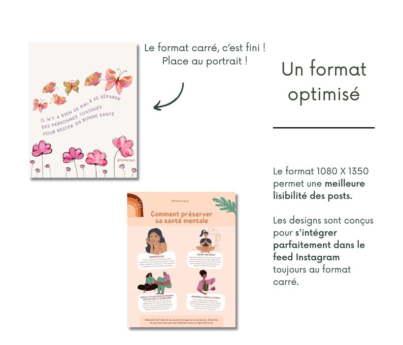Health & Wellness - Mental Health Posts, French Instagram Templates, Canva Templates for Coaches, Wellness Infographics, Self-Love image 3