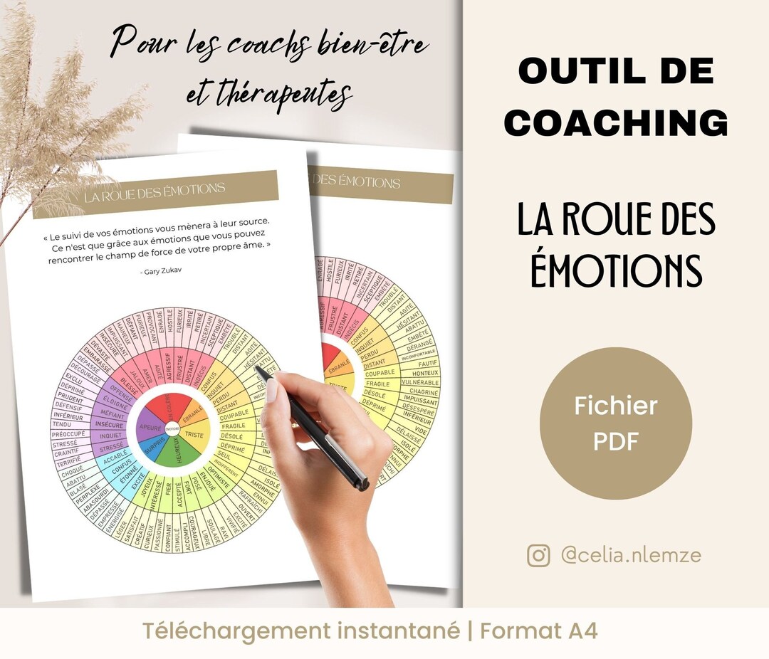 French Coaching Tool, the Wheel of Emotions, Worksheet for Coaches in