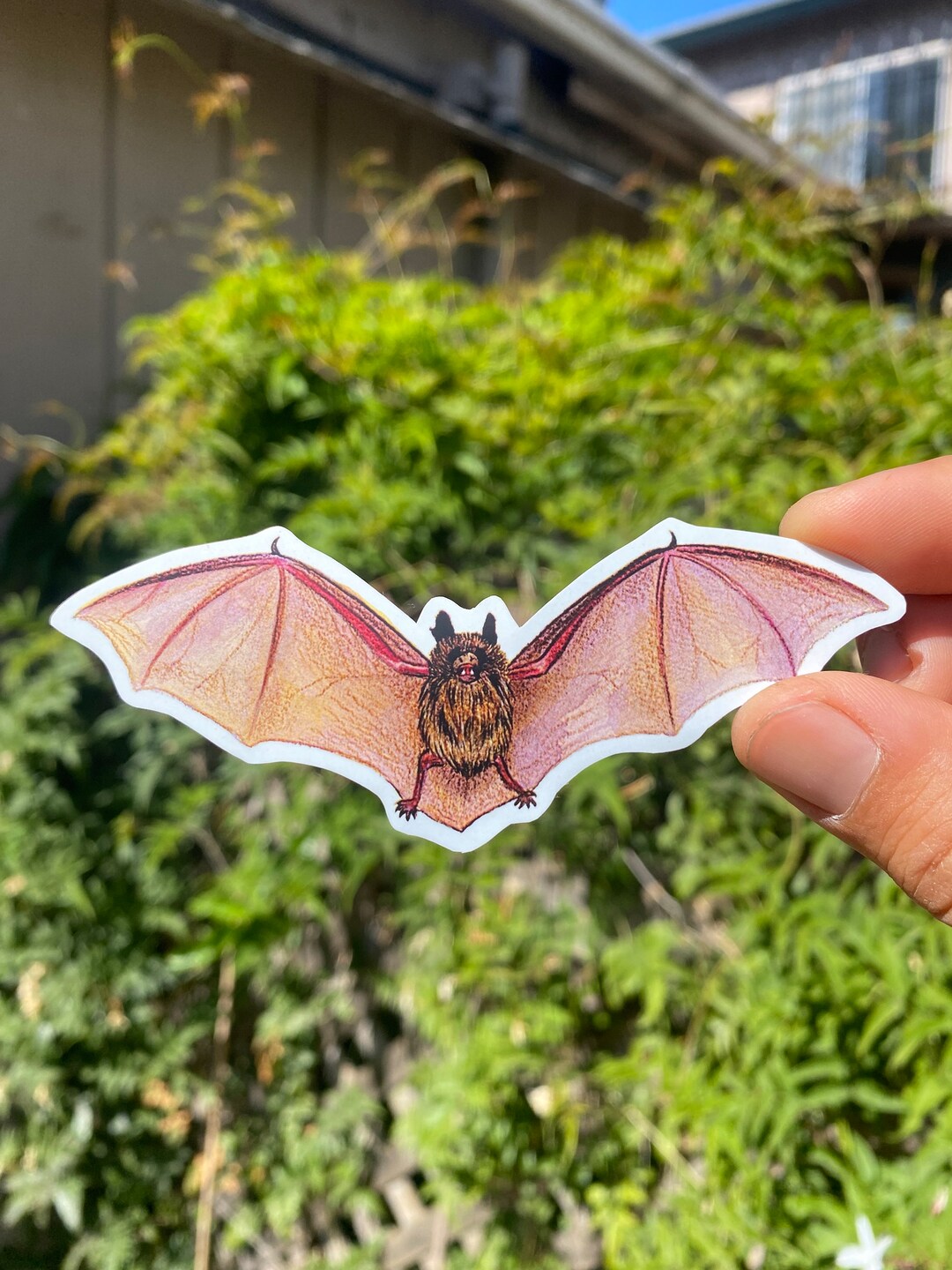 Little Brown Bat Sticker Halloween Sticker Goth Sticker Etsy