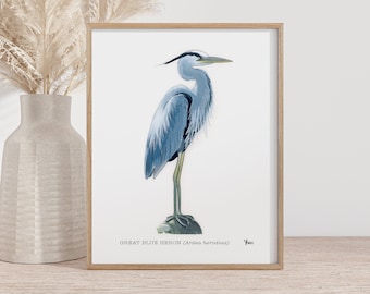 Coastal Bird Painting, Lake Bird Wall art, Beach House Wall Art, Bird Art Print, Bird Watcher Gift, Ornithology Art, Great Blue Heron