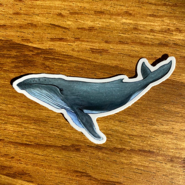 Adorable Humpback Whale Sticker  - Cute Ocean Decal