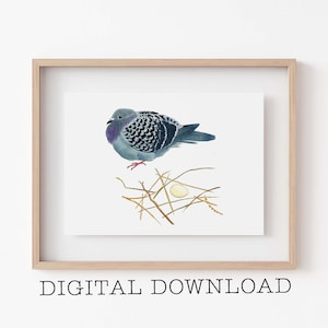 May include: A watercolor painting of a gray and white dove sitting on a nest with a single white egg. The dove has a purple head and a speckled body.