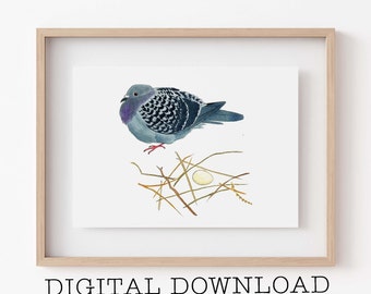 May include: A watercolour painting of a grey and white dove sitting on a nest with a single white egg. The dove has a purple head and a speckled body.
