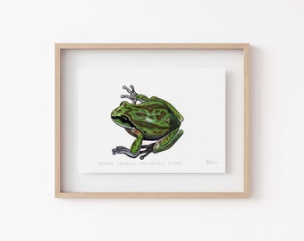 Sierran Tree Frog Art Print - Charming Bay Area Wildlife Watercolor, Frog Lover Home Decor & Gift