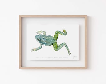 Frog Lover's Decor: Yellow-Legged Frog Painting for Wildlife & Amphibian Fans