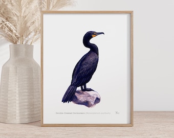Cormorant Art Print - Watercolor Illustration for Bird Lovers, Coastal Home Decor, Double-Crested Cormorant