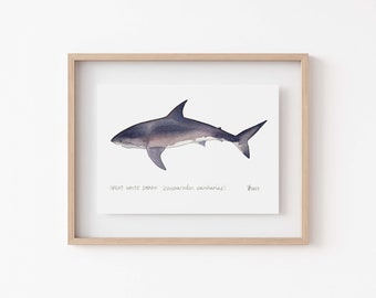 Great White Shark Print - Deep Sea Decor, Marine Wildlife Art, California Coastal Wildlife - Shark Painting