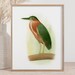 see more listings in the Bird Prints section