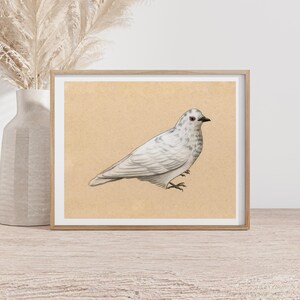 Pigeon Art Print - Unique Gift for Pigeon Lovers - Whimsical Artwork for Eccentric Homes - Random Wall Art