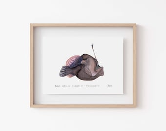 Anglerfish Watercolor Print - Black SeaDevil, Deep Sea Creature, Creepy Fish Decor, Strange Marine Life, Oddities Wall Decor