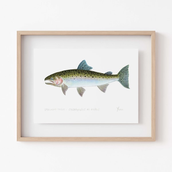 Steelhead Trout Art Print - Perfect cadeau voor vissers, jacht- en visserijdecor
