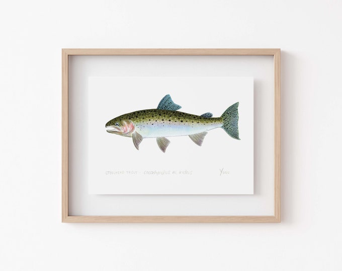 Steelhead Trout Art Print - Perfect Gift for Fishing Enthusiasts, Hunting & Fishing Decor