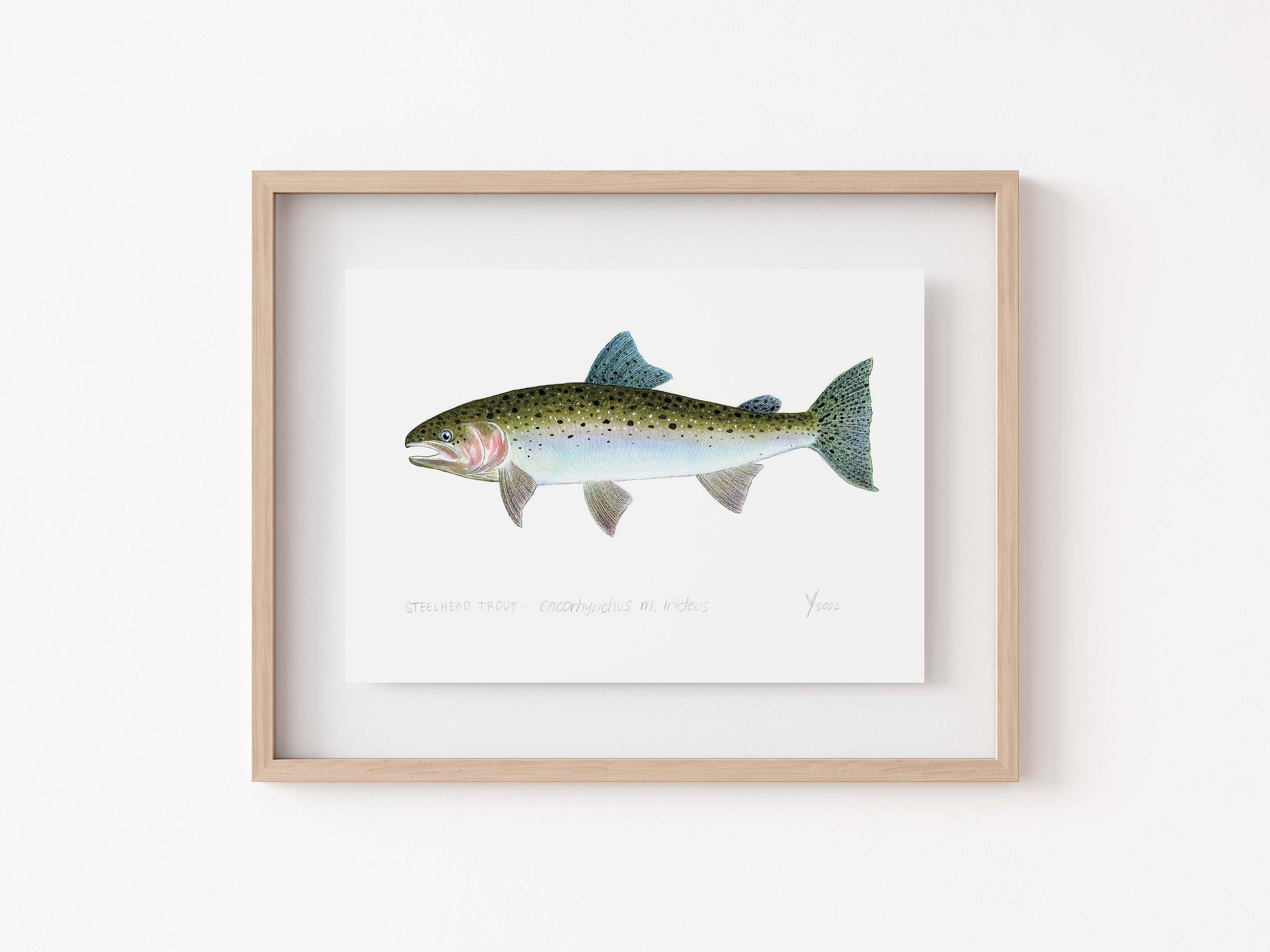 Steelhead Trout Art Print - Perfect Gift for Fishing Enthusiasts, Hunting & Fishing Decor
