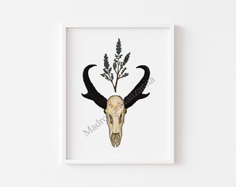 Impression de crâne d'antilope du sud-ouest et de sauge - Art mural animal esprit bohème