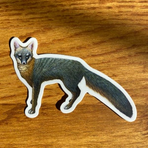 Gray Fox Sticker - Perfect Decal for Nature Enthusiasts & Fox Lovers